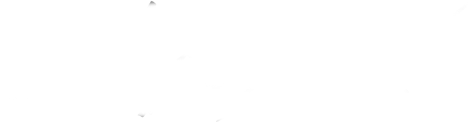Logo w