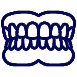 Dental prosthesis1